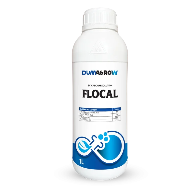 Flocal 1L SC calcium solution with calcium, iron and silicon for fruit quality and plant growth.