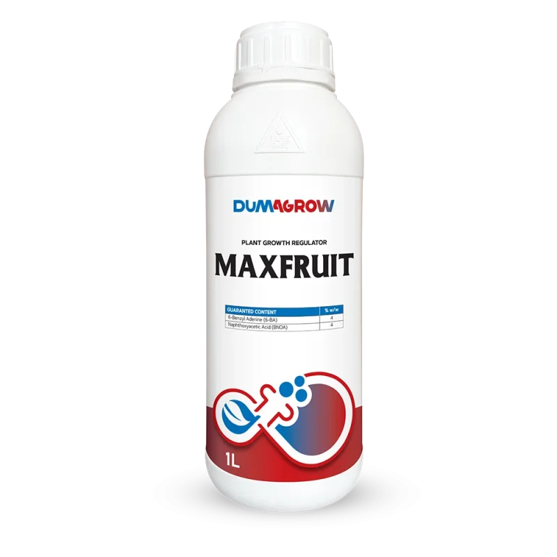 Maxfruit 1L plant growth regulator with 6-BA and Naphthoxyacetic Acid for flowering and fruit set.