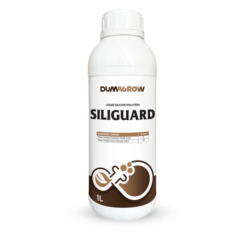 Siligaurd 1L liquid silicon solution with potassium and silicon for plant strength and stress tolerance.